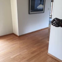 宴会の建物のロビー