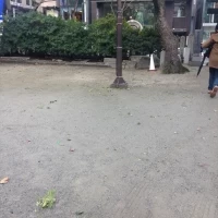 広いガーデン