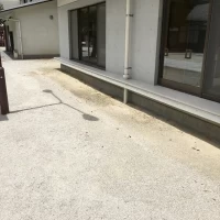 中庭