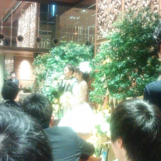高砂は木をいっぱい！