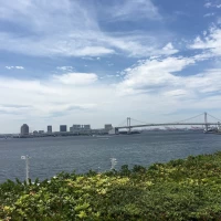 テラス席より。天気が良い日は最高だと思う。