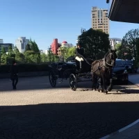 ホテル玄関にてホースパレード