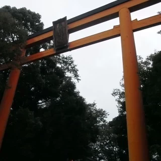 印象的な神社の境内