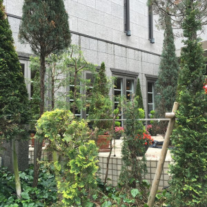 ガーデン風景|441155さんのタカクラホテル福岡（営業終了）の写真(379335)