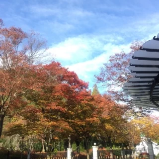 11月くらい。しょうざんリゾートの入口。紅葉もよかった。