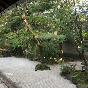 庭|441594さんの八坂神社 常磐新殿の写真(666600)