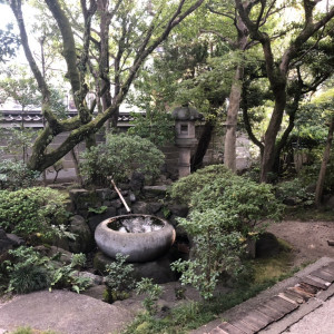 庭|441594さんの八坂神社 常磐新殿の写真(666602)