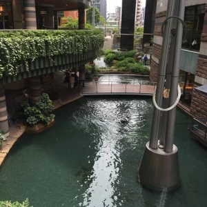 中庭|442584さんのグランド ハイアット 福岡の写真(381345)