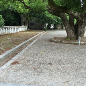 庭園|442908さんの福岡縣護国神社の写真(381518)