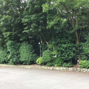 木々が茂る参道脇|442908さんの福岡縣護国神社の写真(381525)