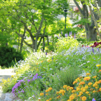 小道と季節ごとの花を楽しめる花壇