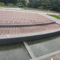 お庭のお花