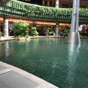 庭園|444454さんのグランド ハイアット 福岡の写真(379525)