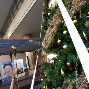 ホテル外側のクリスマスツリー|444483さんのキャッスルプラザ（営業終了）の写真(390371)