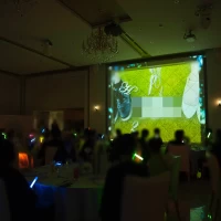 ペンライトと映像演出