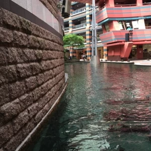 お庭の泉|444846さんのグランド ハイアット 福岡の写真(385542)