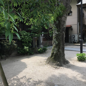 ガーデン風景|445193さんの櫛田神社(福岡県)の写真(389283)