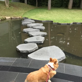 正面は池になっています
