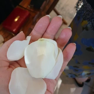 フラワーシャワーのフラワー