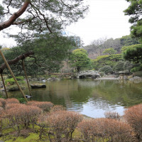 広い日本庭園が広がります。