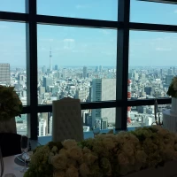 高砂からの景色　スカイツリー
