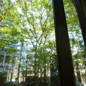 窓から庭が見えます|447577さんのアークホテルロイヤル福岡天神の写真(395438)