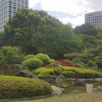 1万坪の日本庭園です