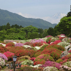 庭から見える景色|448667さんの小田急山のホテルの写真(396295)