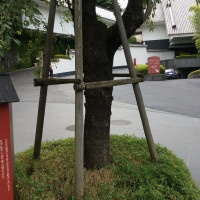 目黒雅叙園  フェア見学