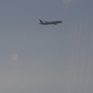 披露宴会場から羽田発着の飛行機が見えます|450668さんの東京ヴァンテアンクルーズの写真(403463)
