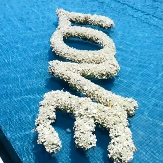 チャペルにあるプール