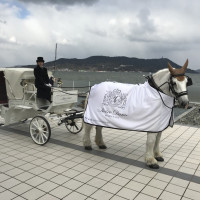 新郎新婦がこの馬車に乗って披露宴会場入りしました