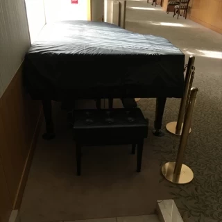 ピアノがあります