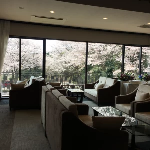 ゲストの利用するロビー。春は窓からの桜が素敵です。|455503さんのハウス・オブ・ベルヴィ白河（営業終了）の写真(424638)