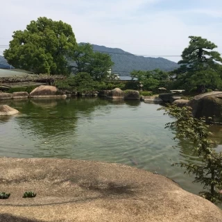 庭からの景色