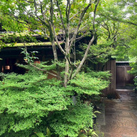 庭の写真です。