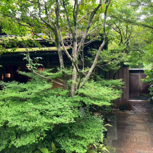 庭の写真です。|456070さんのTHE SODOH HIGASHIYAMA KYOTO（ザ ソウドウ 東山 京都）の写真(2472097)