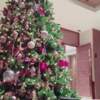 11月から飾られるクリスマスツリーです。ホワイエにあります。