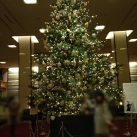 ロビーのクリスマスツリー