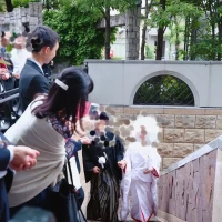 階段からの入場、水引シャワー