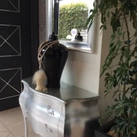 披露宴会場