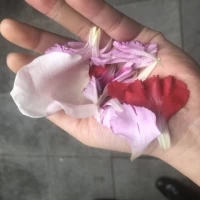 フラワーシャワーのお花です。ピンクと赤でした。