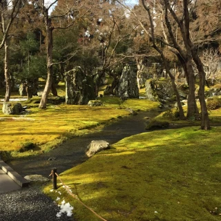 日本庭園の一部