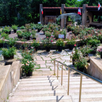 庭園に降りる階段は広く長いです。