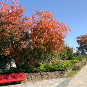 園内を走る電車の出発場所。フォトポイントの一つでもあります。|463624さんのHEIDI'S VILLAGE 花の教会（ハイジズ ヴィレッジ）の写真(691514)