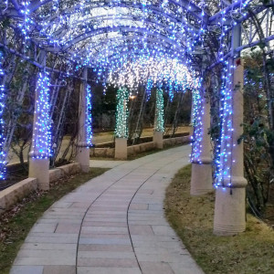 冬と夏のイルミネーションが素敵|463624さんのHEIDI'S VILLAGE 花の教会（ハイジズ ヴィレッジ）の写真(698282)