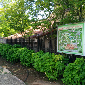 入り口までの歩行者ストローク。テーマパークのようなマップが。|463624さんのHEIDI'S VILLAGE 花の教会（ハイジズ ヴィレッジ）の写真(1142014)