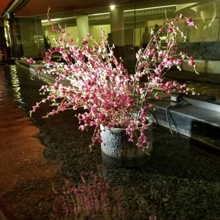 館内のロビー近くの季節のお花