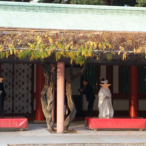 外観撮影イメージ2|464726さんの日枝神社の写真(446116)