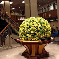 ホテルロビーの花